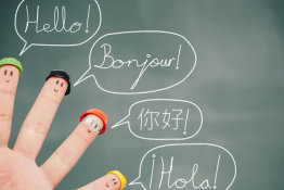Metodinis leidinys, skirtas kalbų (gimtosios ir užsienio) mokytojų dalykinėms kompetencijoms tobulinti